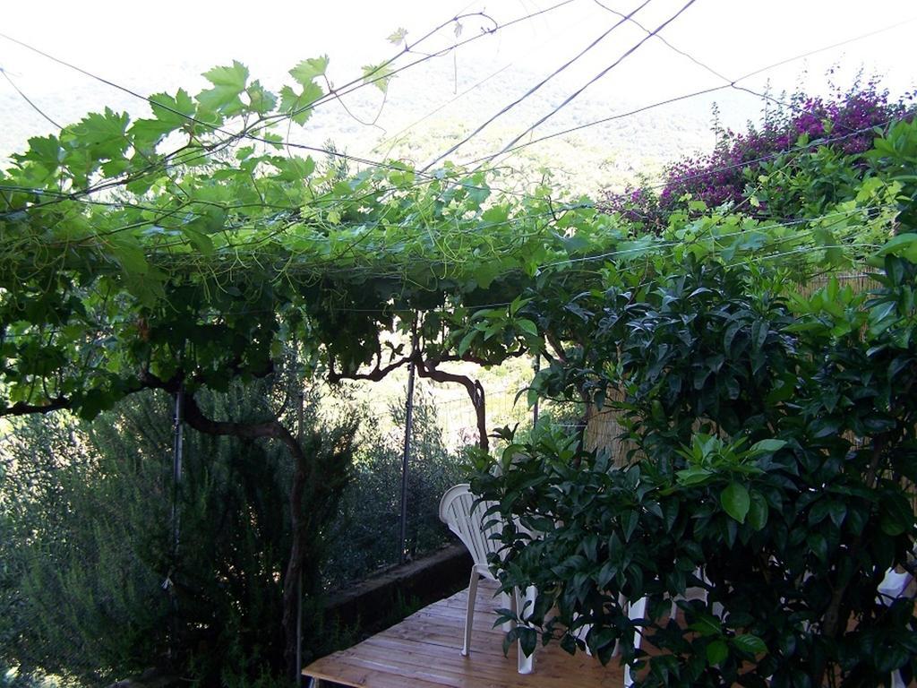 B&B Baddesalighes Bolotana Exterior photo